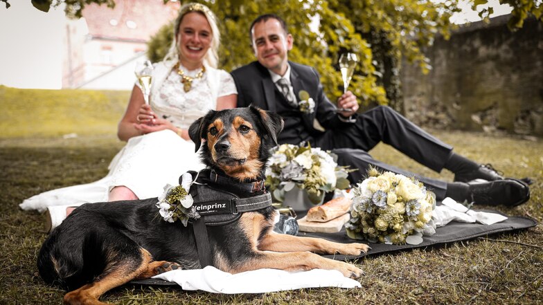 Sabrina Papperitz und Sebastian Schreiber mit Hund Aiko auf Schloss Schönfeld. Sie feierten ihre Trauung zu zweit.