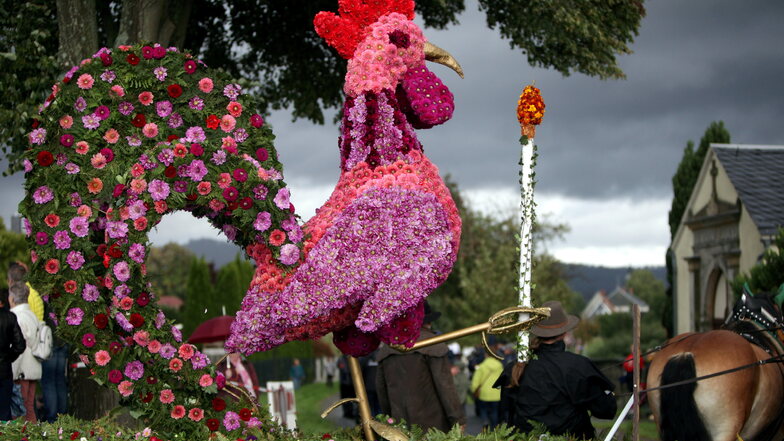 Die blütengeschmückten Festwagen vom Lichtenhainer Blumenfest können noch bis Dienstag besichtigt werden.