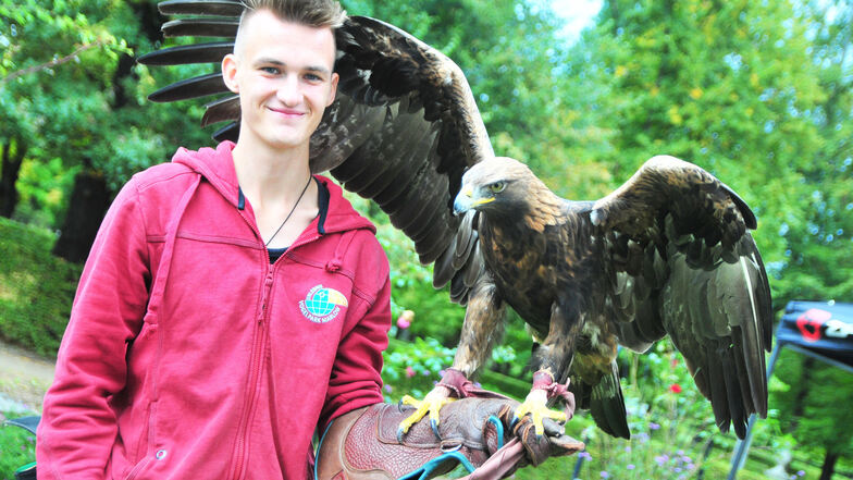 Niklas Kappler (19) mit Steinadler Paule. Niklas kommt ursprünglich aus Dresden, lebt nun aber in Mecklenburg-Vorpommern und arbeitet für den Vogelpark Marlow.