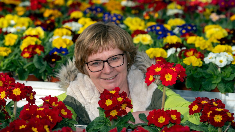 Antje May, die Chefin der Traditionsgärtnerei Gruschwitz in Langburkersdorf, stellt die Pflanze des Jahres 2021 in der MDR-Gartensendung vor.