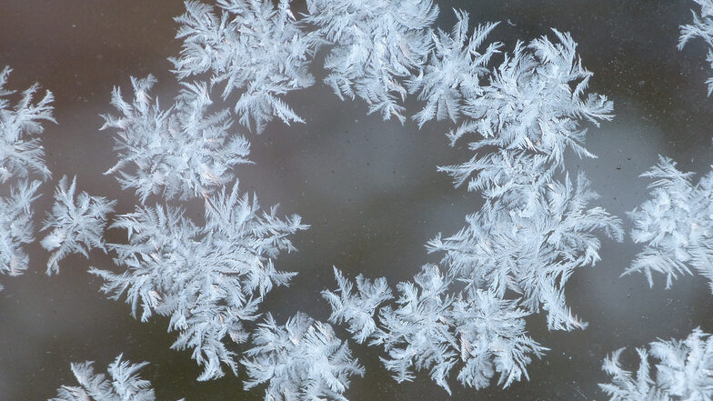 Eisblumen: Kathrin Voigt aus Dorfhain sandte einen Eisblumenkranz, der sich am Fenster ihres Vorhäuschens bildete.