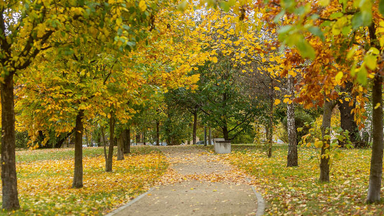 Im Sommer grün, im Herbst schön bunt: Park zwischen Albert-Schweitzer-Straße und Dresdner Straße