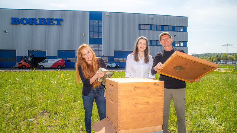 Judith Simon hatte die Idee, Nicole Prestele ist die Borbet-Verantwortliche für Nachhaltigkeitsprojekte und Imker Jens Ebert (von links) kümmert sich um den ersten Bienenstock beim Kodersdorfer Felgenhersteller.