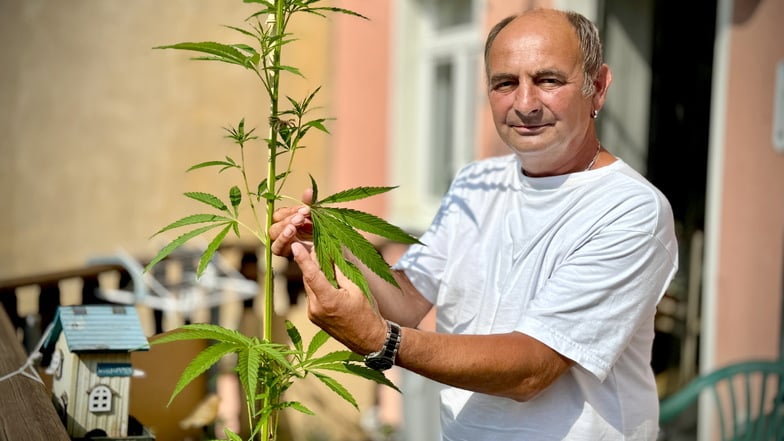 Bernd Renger erfreut sich an seiner Cannabis-Pflanze auf seinem Balkon.