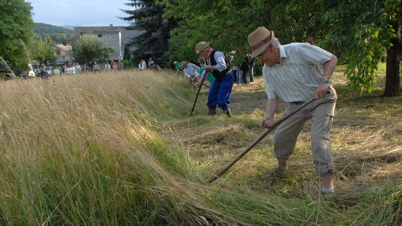 Die Grasmahd mit der Sense war früher Tradition. Hier ein Foto von einem Sensenwettbewerb in Leutersdorf.