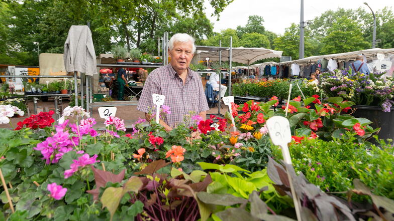 Joachim Friedrich verkauft Blumen auf dem Wochenmarkt an der Lingnerallee in Dresden.