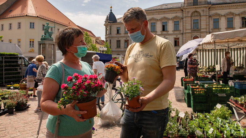 An diesem sonnigen Dienstag brummt das Geschäft auf dem Großenhainer Markt: Jens Schöner von der gleichnamigen Glaubitzer Gärtnerei berät Angela Hoppe, die Blumen für den Garten kauft.