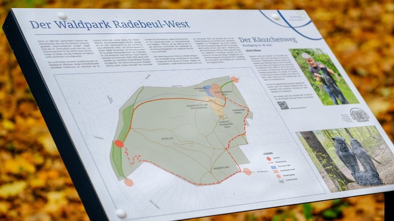 Auf den Stelen sind zahlreiche Informationen zum Waldpark zu finden.