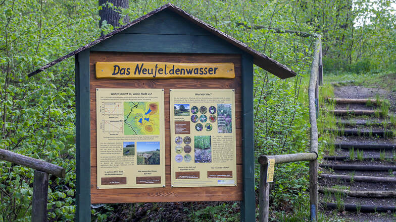 An Schautafeln erfährt der Wanderer jetzt viel Wissenswertes über die Pflanzen- und Tierwelt im Gründel und Umgebung in Oderwitz.