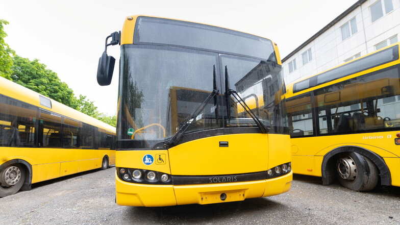 Diese ausgemusterten Solaris-Busse der DVB könnten zukünftig in Butscha fahren.