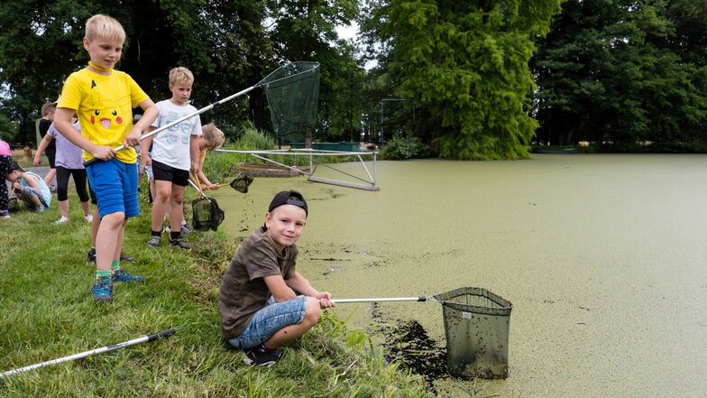 Nieskyer Kinder nehmen das Leben im Teich unter die Lupe