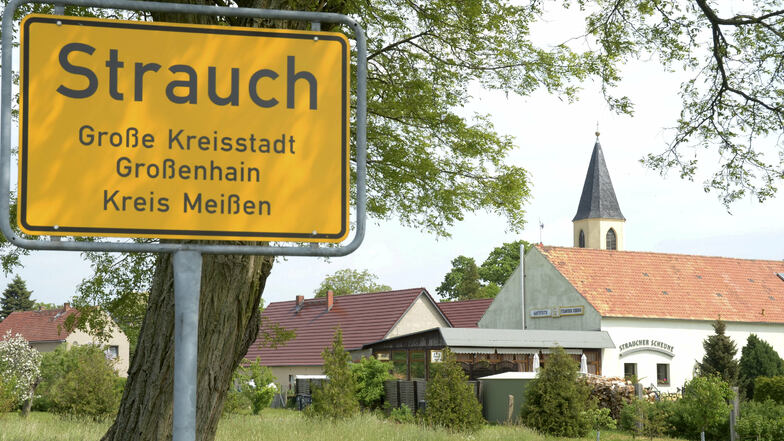 In Strauch wird Breitbandkabel verlegt.