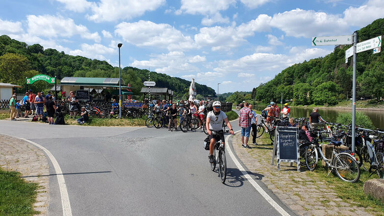 Fahrradfahrer in Obervogelgesang: Bald noch mehr Sicherheit auf dem Elberadweg?
