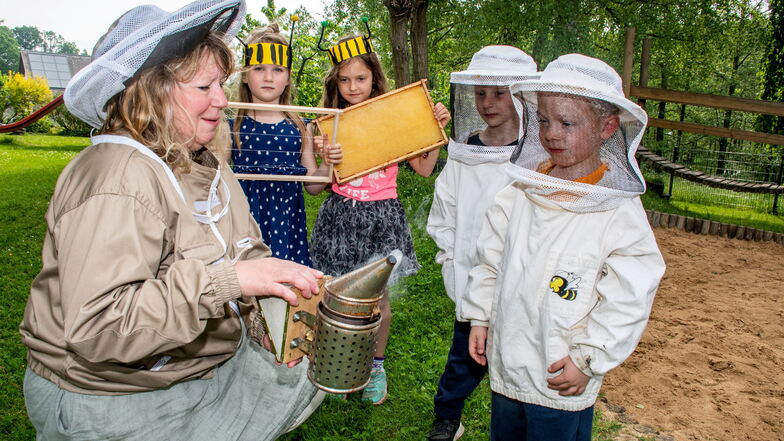 Kinder lernen: Der Honig kommt nicht aus dem Supermarkt