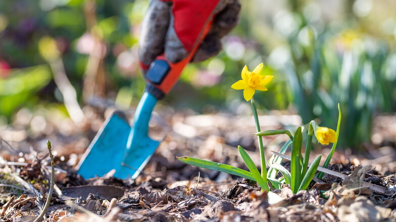 Symbolbild: Die Arbeitspflicht für Flüchtlinge umfasst einfache Tätigkeiten wie Gartenarbeit.
