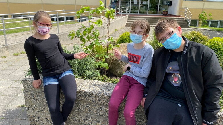 Lara, Sophie und Konstantin aus der Klasse 5a halfen beim Einpflanzen der Ersatzbäumchen, die die Nachbarn spontan vorbeibrachten.