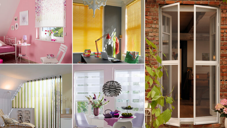 Entdecken Sie die breite Palette an Sonnenschutzlösungen, die für eine angenehme Atmosphäre in Ihren Räumen sorgen.