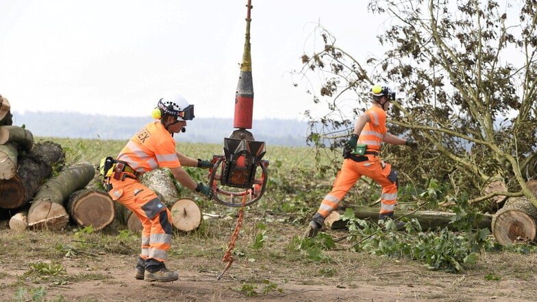 Der Job der Bodencrew grenzt an Hochleistungssport. In Windeseile müssen gelandete Bäume zerteilt und das Equipment geborgen werden.