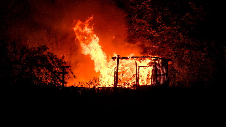 Laube in Löbauer Gartenanlage brennt nieder