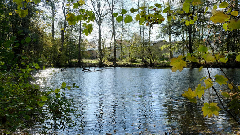 Die Idylle trügt. Dieser Teich im Park Niederjahna wurde zwar entschlammt, viel mehr wurde aber bisher noch nicht fertig.