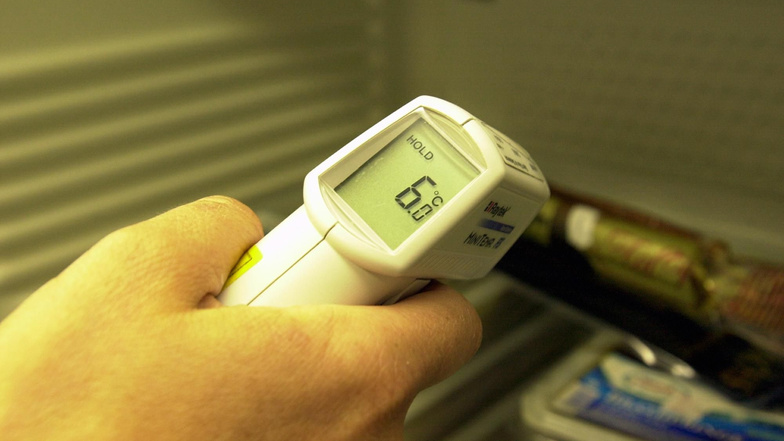 Ein Lebensmittelkontrolleur überprüft bei einer Betriebskontrolle die Temperatur der Lebensmittel.