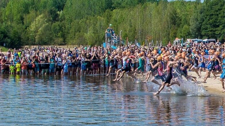 Massenstart am Olbersdorfer See bei Zittau: 1500 Teilnehmer wagten den Sprung ins warme Nass.