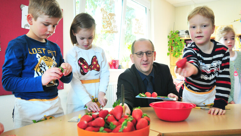 Bei den Ebersbacher Mühlenwichteln ist Chris Feustel (M.) von der Barmer zum Erdbeeren schnippeln mit Vicco, Milena und Gustav (v.l.) eingeladen. Die Krankenkasse unterstützt die Kita bei gesunder Ernährung.