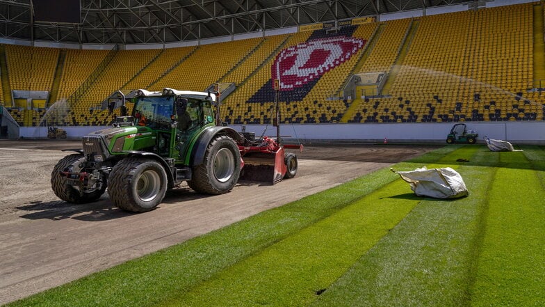 Warum Dynamo Dresden jetzt einen neuen Rasen bekommt