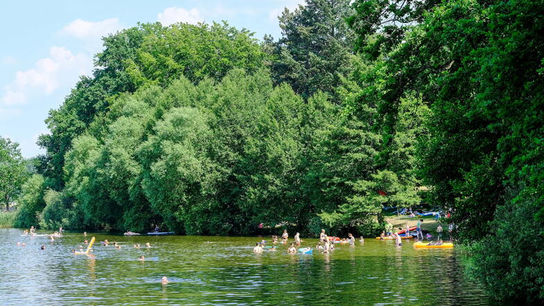 Der Dippelsdorfer Teich in Friedewald ist ein beliebter Ort für Badende. Ende des Jahres soll er entschlammt werden.