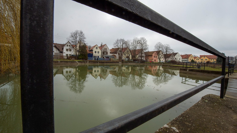 Unter den Bewohnern des Naundorfer Dorfteiches möchte die Stadt wieder ein Gleichgewicht zwischen Fried- und Raubfischen schaffen.