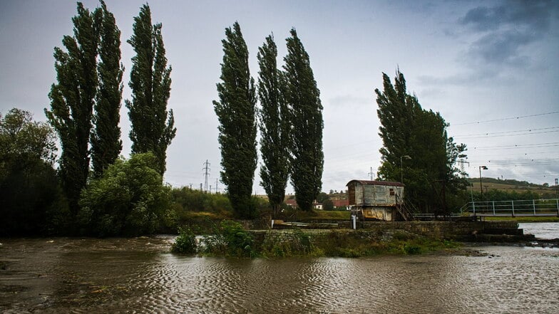 Tschechien, Oslavany: Der Fluss Oslava führt nach anhaltenden Regenfällen Hochwasser.