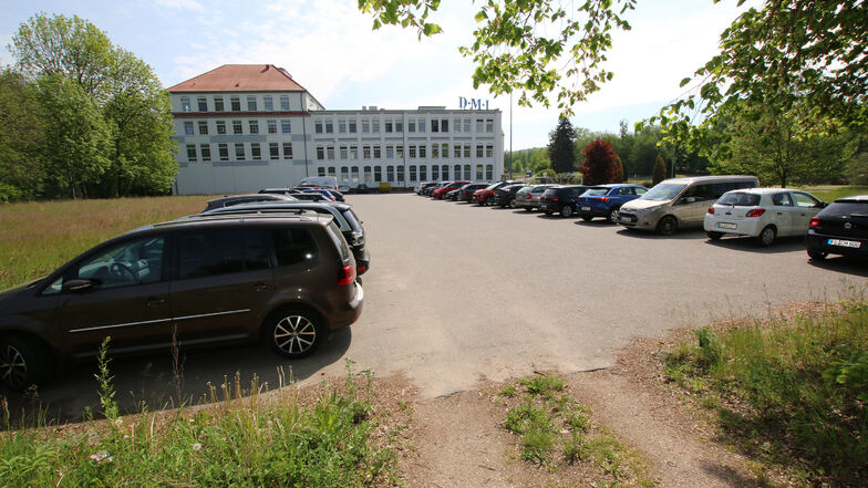 Einen Teil des Festplatzes auf der Leisniger Muldenwiese, den DMI jetzt schon als Firmenparkplatz von der Kommune gepachtet hat, kann der Dienstleister jetzt kaufen – unter Bedingungen.