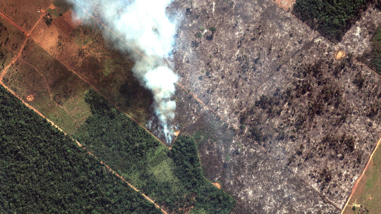 Auf diesem Satellitenbild, das von Satellite Image Maxar Technologies zur Verfügung gestellt wird, ist ein Brand im Staat Rondonia zu sehen.