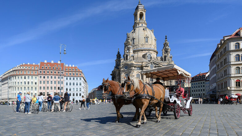 Die Hufen klappern wieder auf dem Dresdner Neumarkt. Ein Zeichen dafür, dass Urlauber in der Stadt sind. Doch sind es genug?