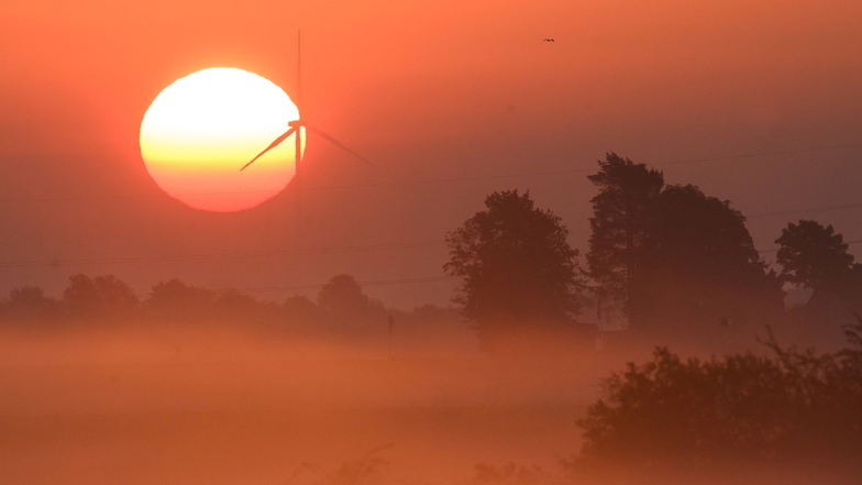 Sollten Sachsens Wälder für Windkraft geöffnet werden?