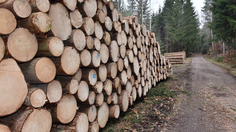 Sachsenforst verkauft Brennholz bei Lohmen