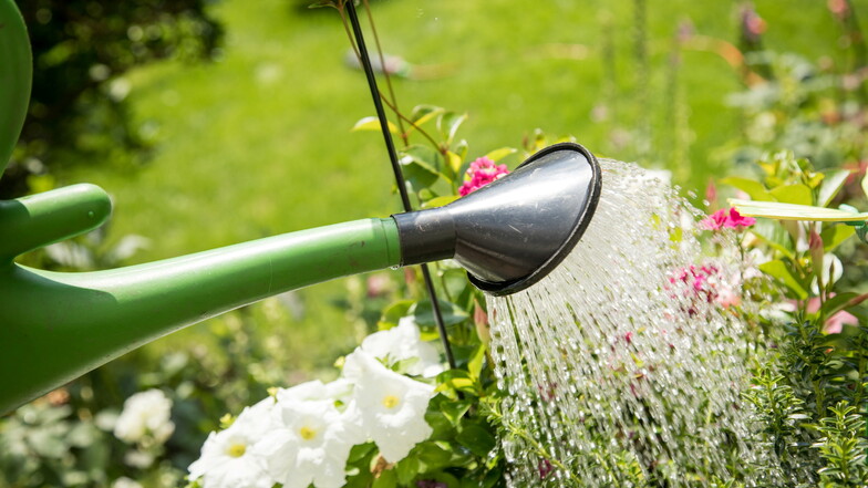 Gärtner dürfen ihre Pflanzen nur noch mit Gießkannen oder ähnlichen "Schöpfgeräten" wässern.