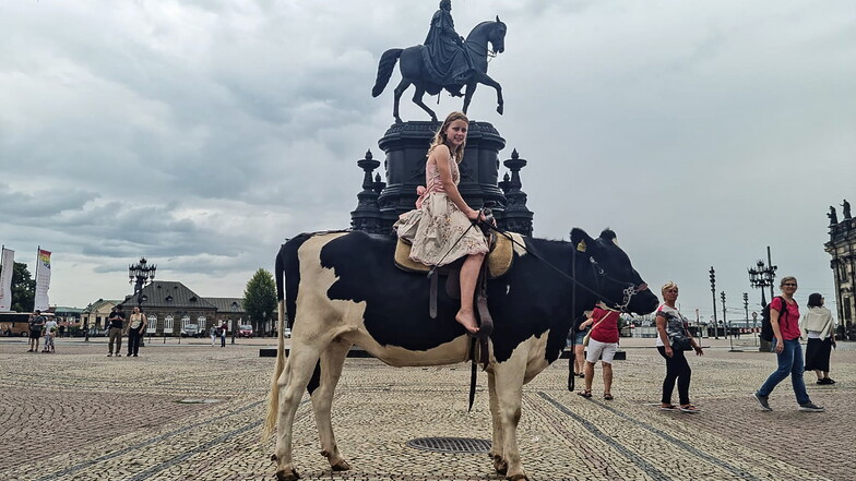 Mit der Kuh Annabelle in Dresden unterwegs.