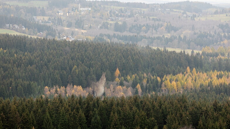 Weltkriegsmunition im Wald bei Altenberg gesprengt