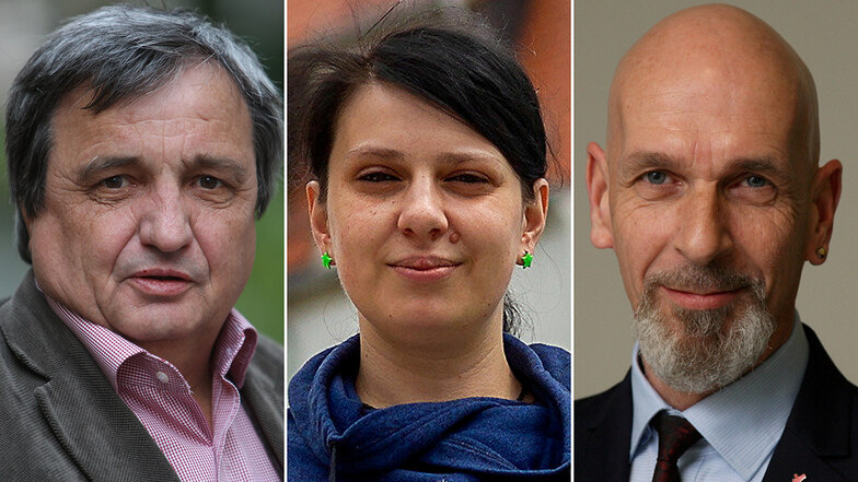 Die Linke im Freitaler Stadtrat: Peter Heinzmann, Nicole Wachsmuth und Jörg Mumme (v.l.).