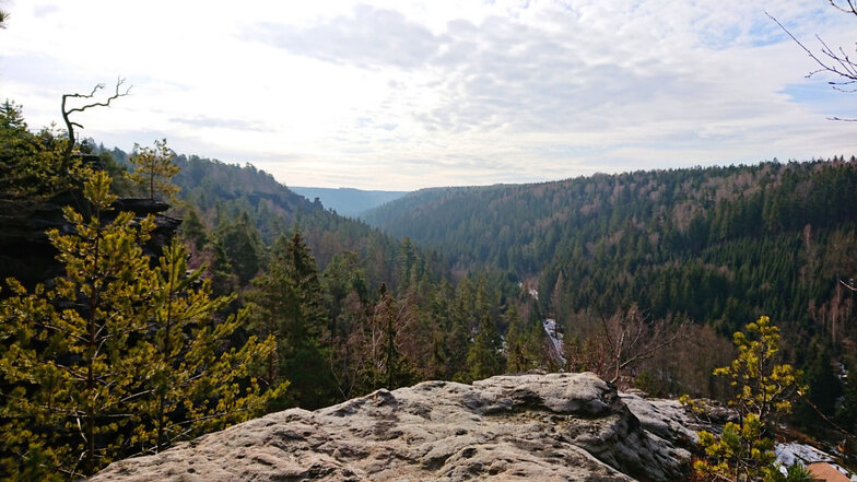 Du suchst etwas herausforderndes? Dann solltest du unbedingt diese 21 km lange Wanderung machen! Diese  Tour wartet mit Höhlen, einem einzigartigen Felsenlabyrinth und einsamer Wildnis auf.  Mit ein paar wenigen steilen Anstiegen ist die Tour mittelschwer, allerdings durch die Kilometerlänge anspruchsvoll. Klick auf's Bild um mehr über die Tour zu den Tyssaer Wänden zu erfahren.