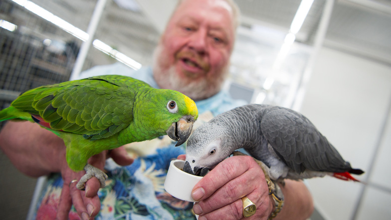 Eine von Zajacs Attraktionen: In der begehbaren Voliere können Kunden Papageien füttern, das Futter dazu müssen sie im Laden kaufen.