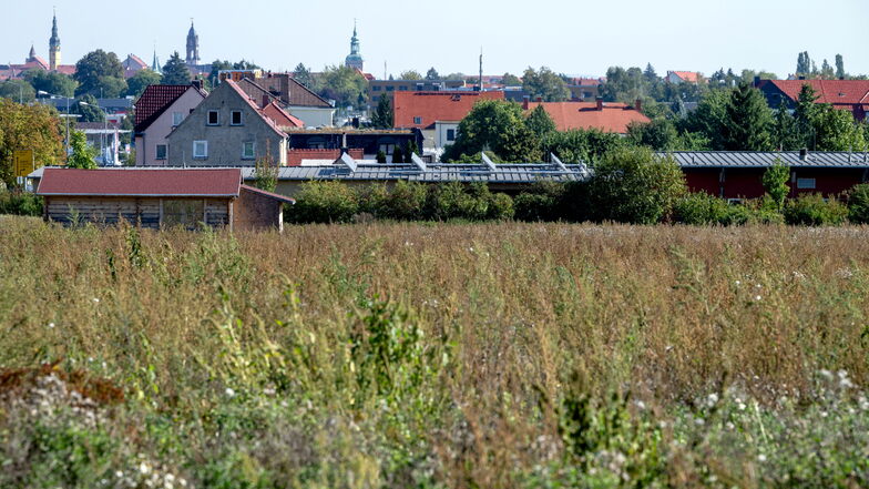 Auf dieser Fläche vor den Toren der Stadt Bautzen sollte ein Logistikzentrum entstehen. Doch das Vorhaben nahe der Rettungswache in Stiebitz ist vom Stadtrat abgelehnt worden.