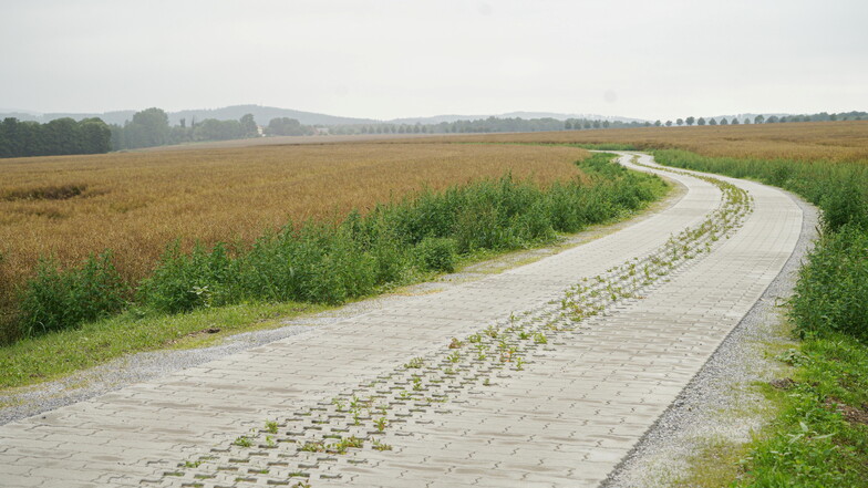 Für rund 700.000 Euro wurde der Siedlungsweg auf einer Länge von etwa 1.700 Metern mit Betonpflaster ausgebaut. Der Maßnahme voraus ging ein umfangreiches Flurneuordnungsverfahren.