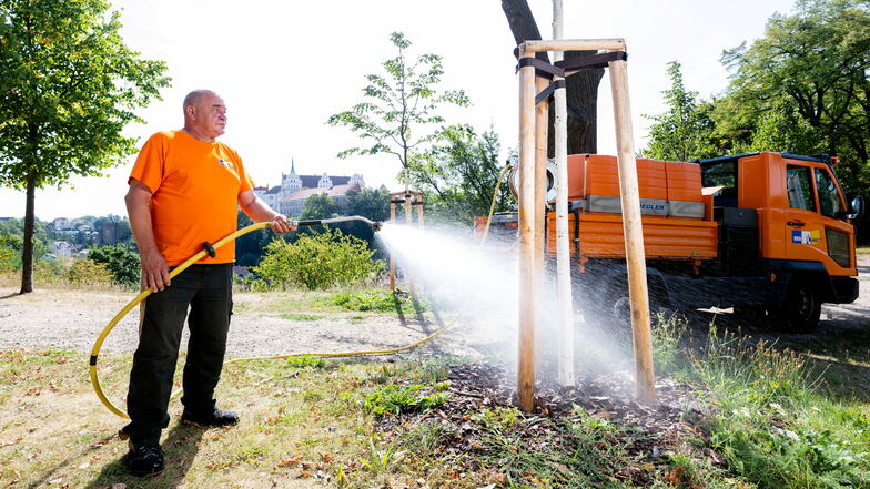 Die anhaltende Trockenheit macht dem Bautzener Stadtgrün zu schaffen. Steffen Urban, Mitarbeiter der Beteiligungs- und Betriebsgesellschaft Bautzen, ist mit seinen Kollegen täglich im Gießeinsatz.