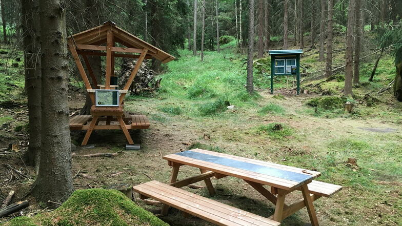 Im letzten Jahr neu eröffnet: Das Zehrborn Biwak am Forststeig Elbsandstein, nahe der Grenzplatte im hinteren Bielatal.