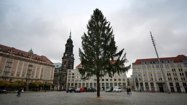 Allein in Pandemiezeiten: Der Baum 2020 blieb die unumstößliche Konstante der Dresdner Advents- und Weihnachtstradition.