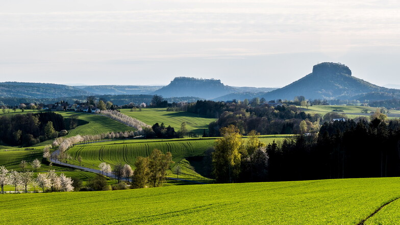 Die erwachende und langsam wärmende Frühlingssonne hat Martin Henke aus Pirna in seinem Foto eingefangen.