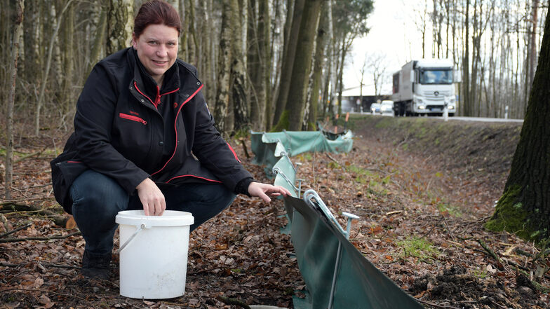 Silvia Hengmith ist eine von insgesamt vier Freiwilligen, die im Frühjahr regelmäßig den Krötenschutzzaun am Ortseingang von Erlau kontrollieren und die Tiere sicher auf die andere Straßenseite bringen.