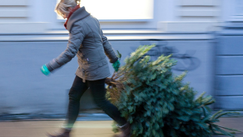 Eine Frau auf dem Weg zur Weihnachtsbaum-Sammelstelle.